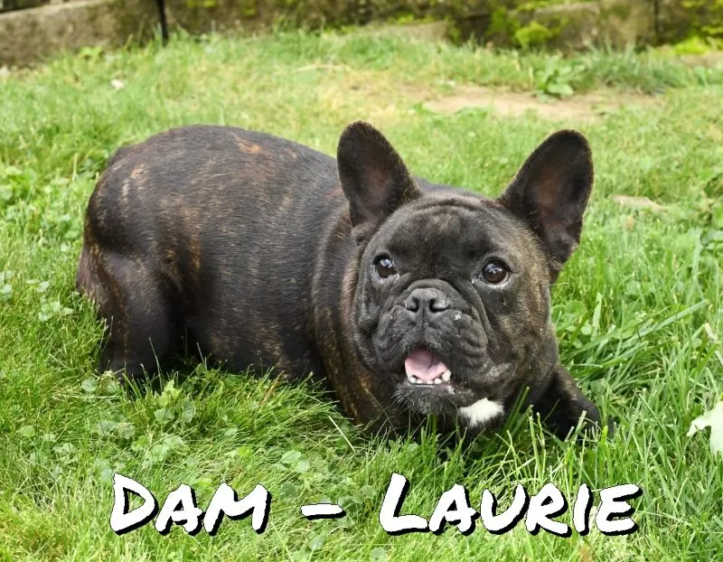 Puppy Name: Laurie