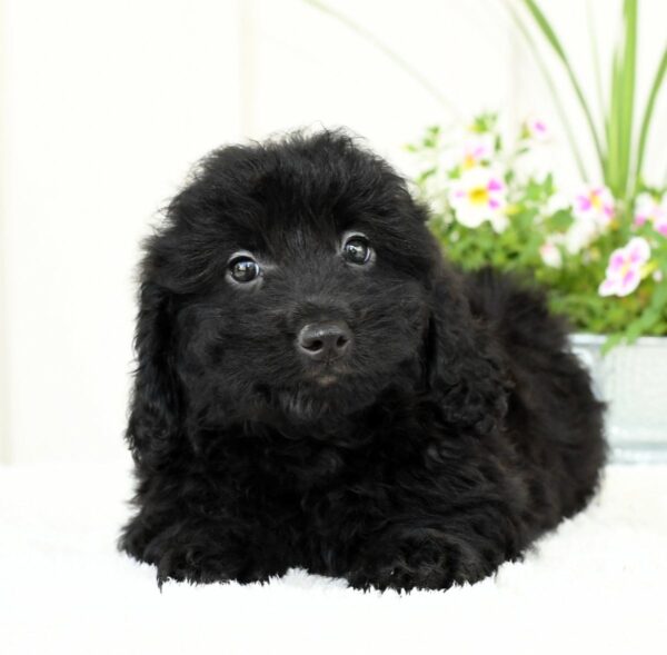 Hailey - Image 10