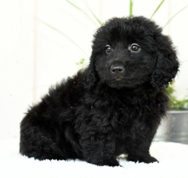 Hailey - Image 9