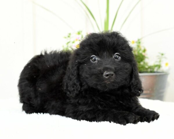 Hailey - Image 7