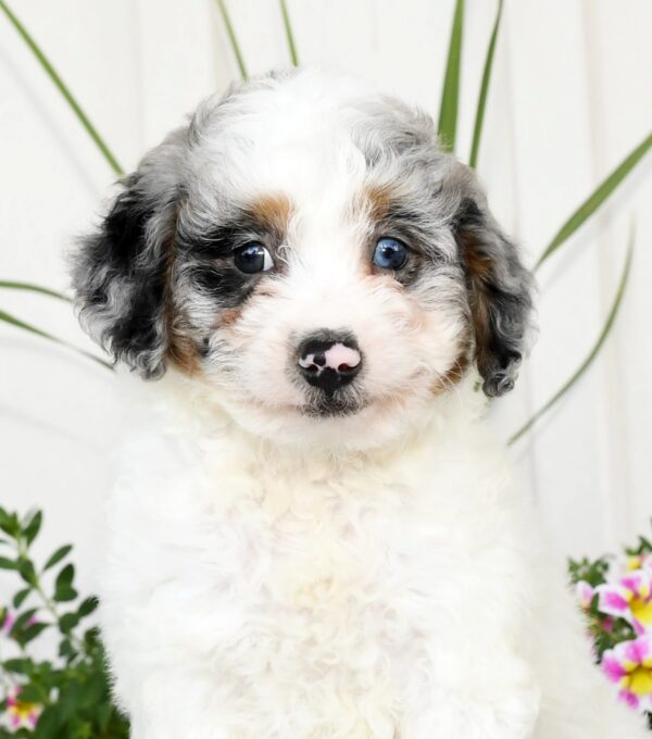 Kimmy - Image 9