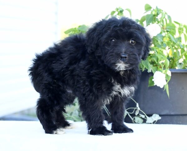 Larry - Image 8